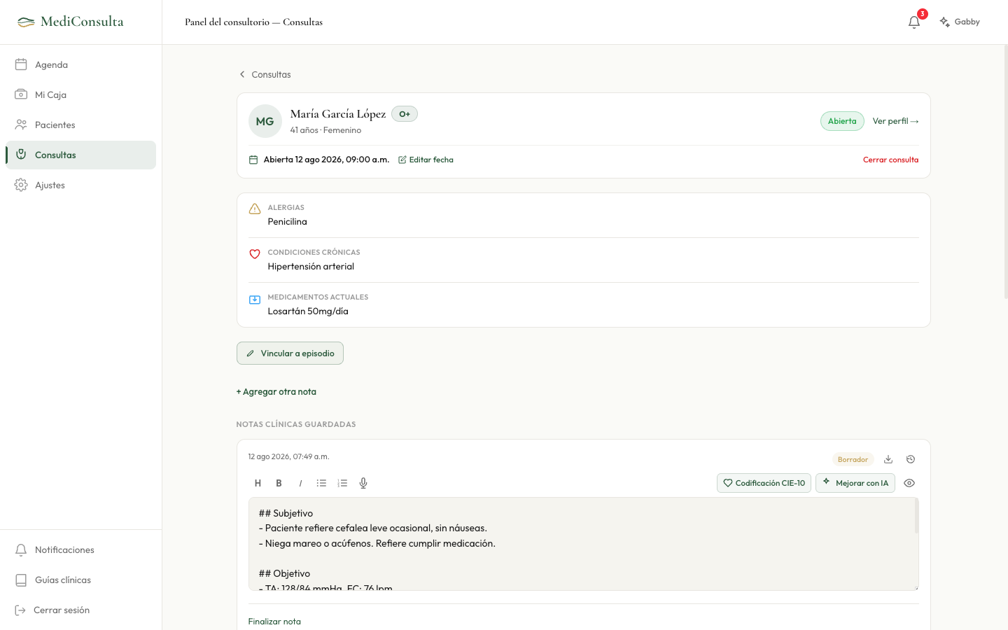 Captura de pantalla web — Nota de Consulta